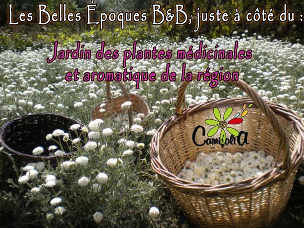 Les Belles Epoques - Piscine - Terrasses - Brumisateurs - Proche Puy Du Fou Bed & Breakfast 3*